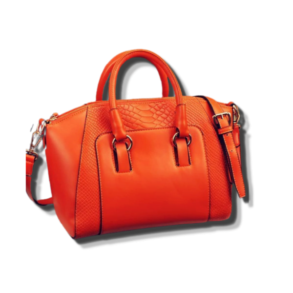 HB2101 TIKTOK Modern Handbag