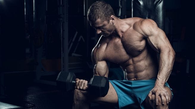 Steroids Pharmacological: Understanding Their Role and Function Steroids Pharmacological: Understanding Their Role and Function